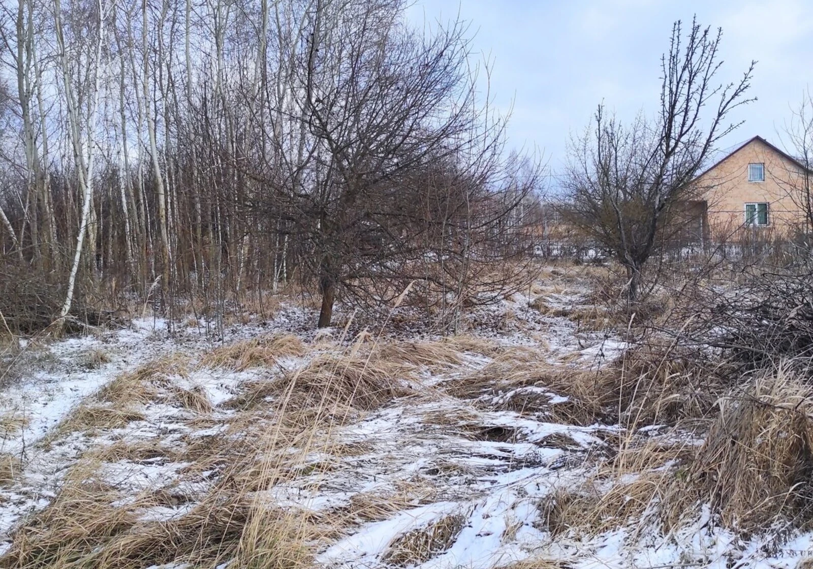 Ділянка 6 соток, Переяслав: під житлову забудову, електрика - фото 3