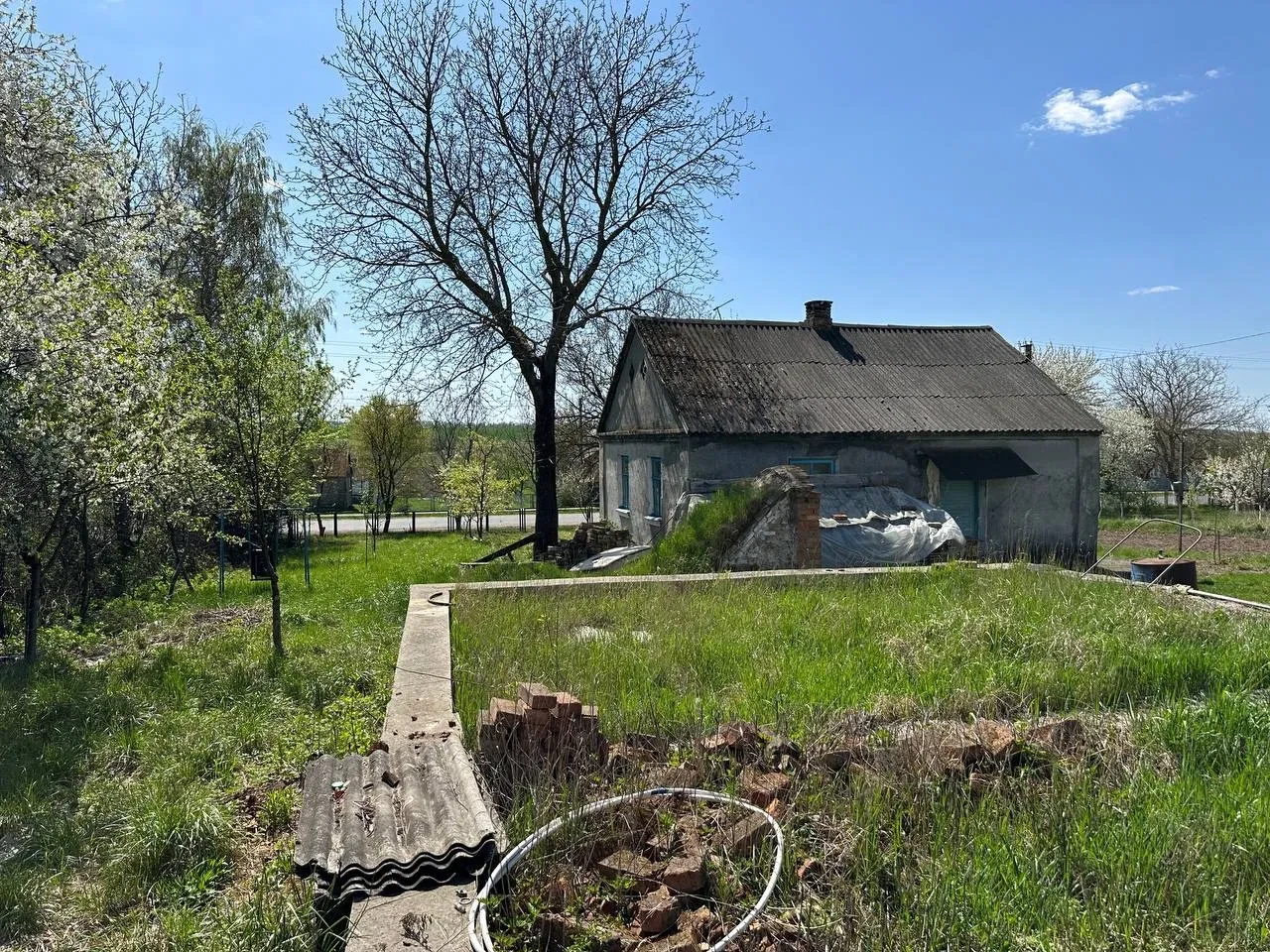 Ділянка 25 соток, Лище: світло і вода, будинок та погріб - фото 4