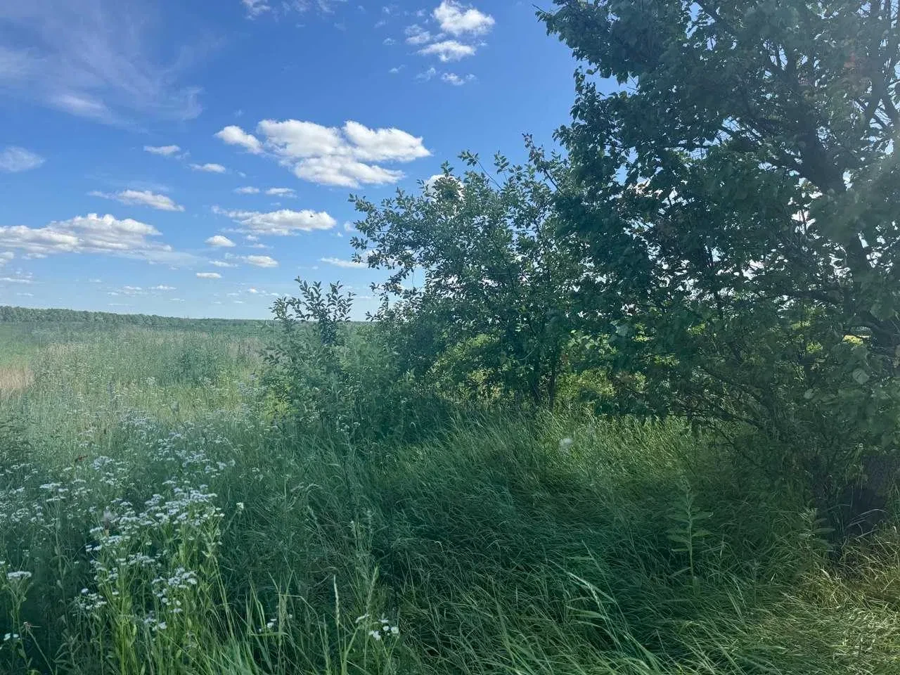 Участок 0.19 соток, Городецкое: гараж, электричество на улице, фото 5