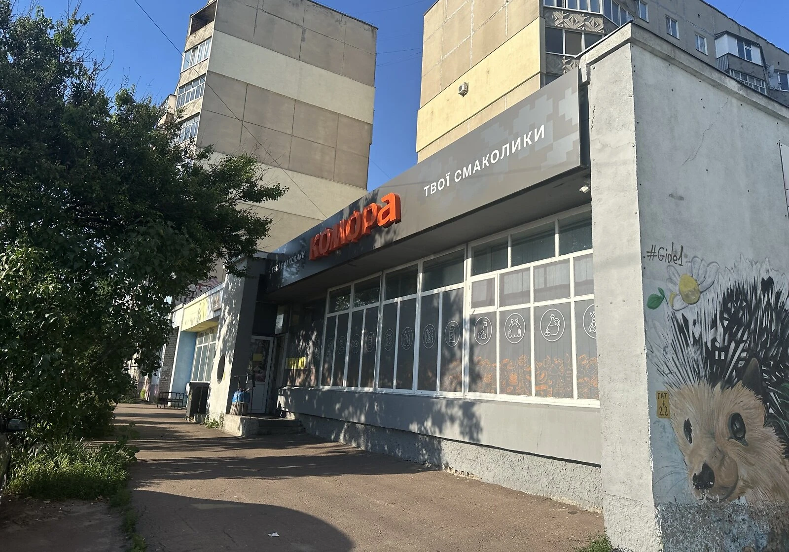 3-комнатная квартира, Деснянский, фото 4