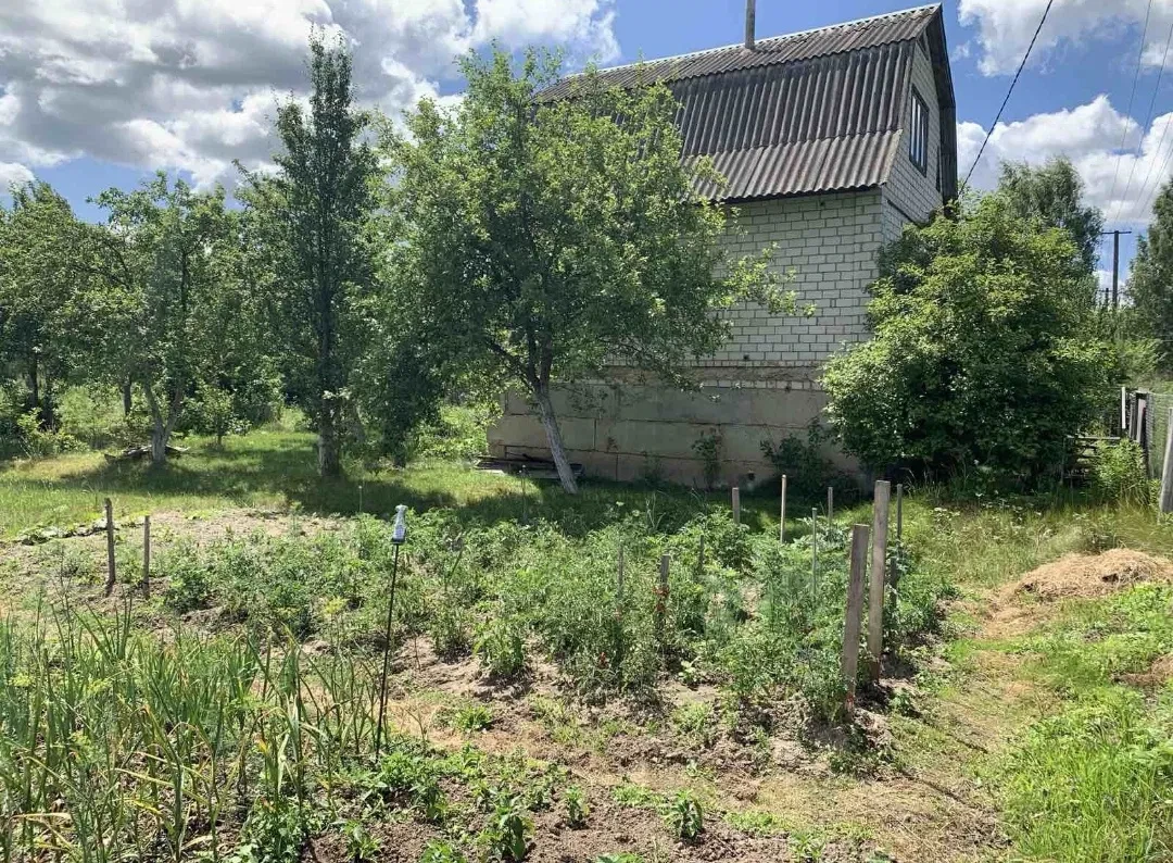 Дача, Березівка: водойма, огороджена ділянка - фото 3
