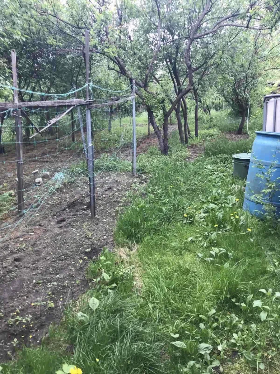 Будинок, Сновськ: гараж під мікроавтобус, ангар 50 м², сад, фото 2