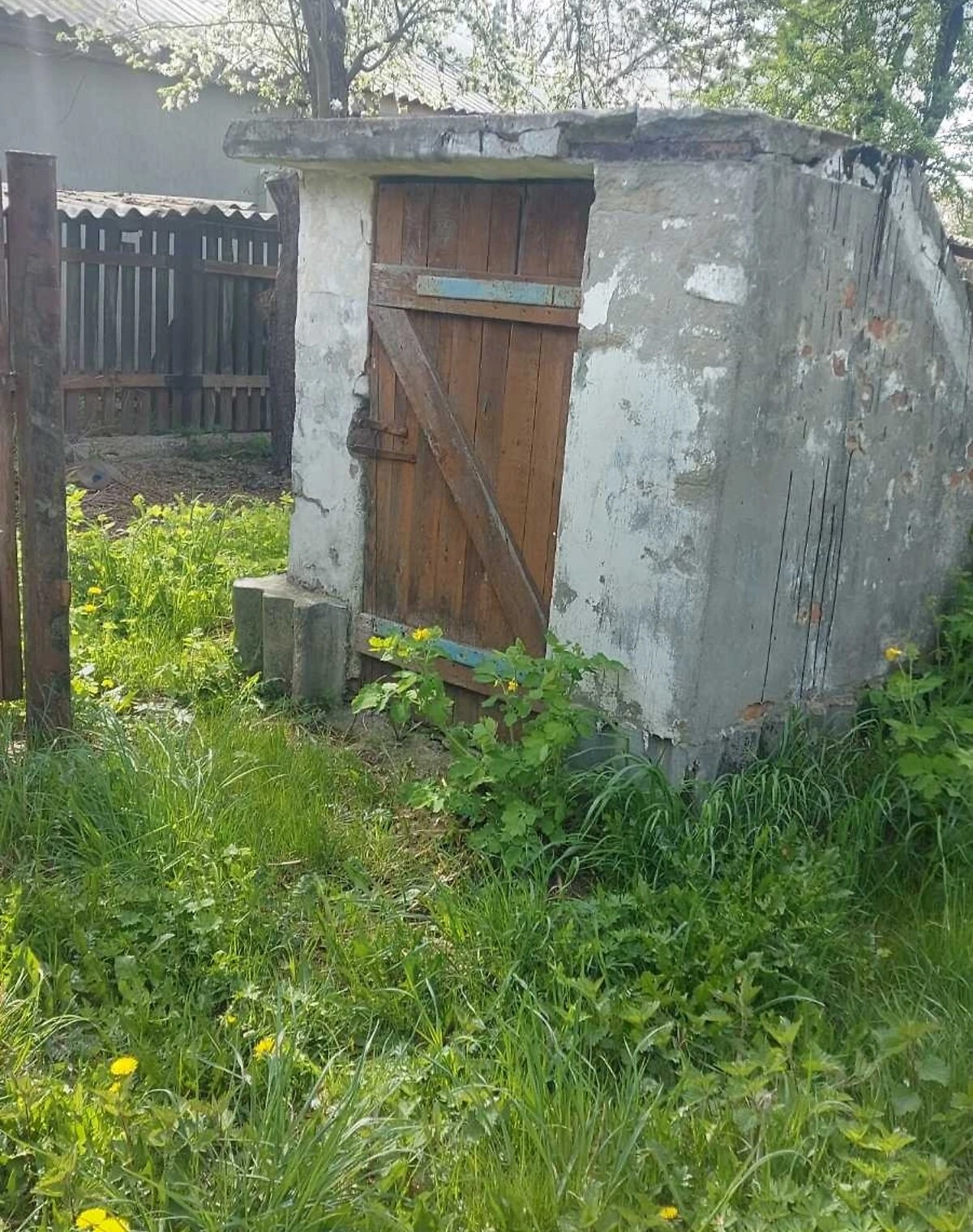 Будинок, Заріччя (Овруч): веранда, 65 соток, торг - фото 5