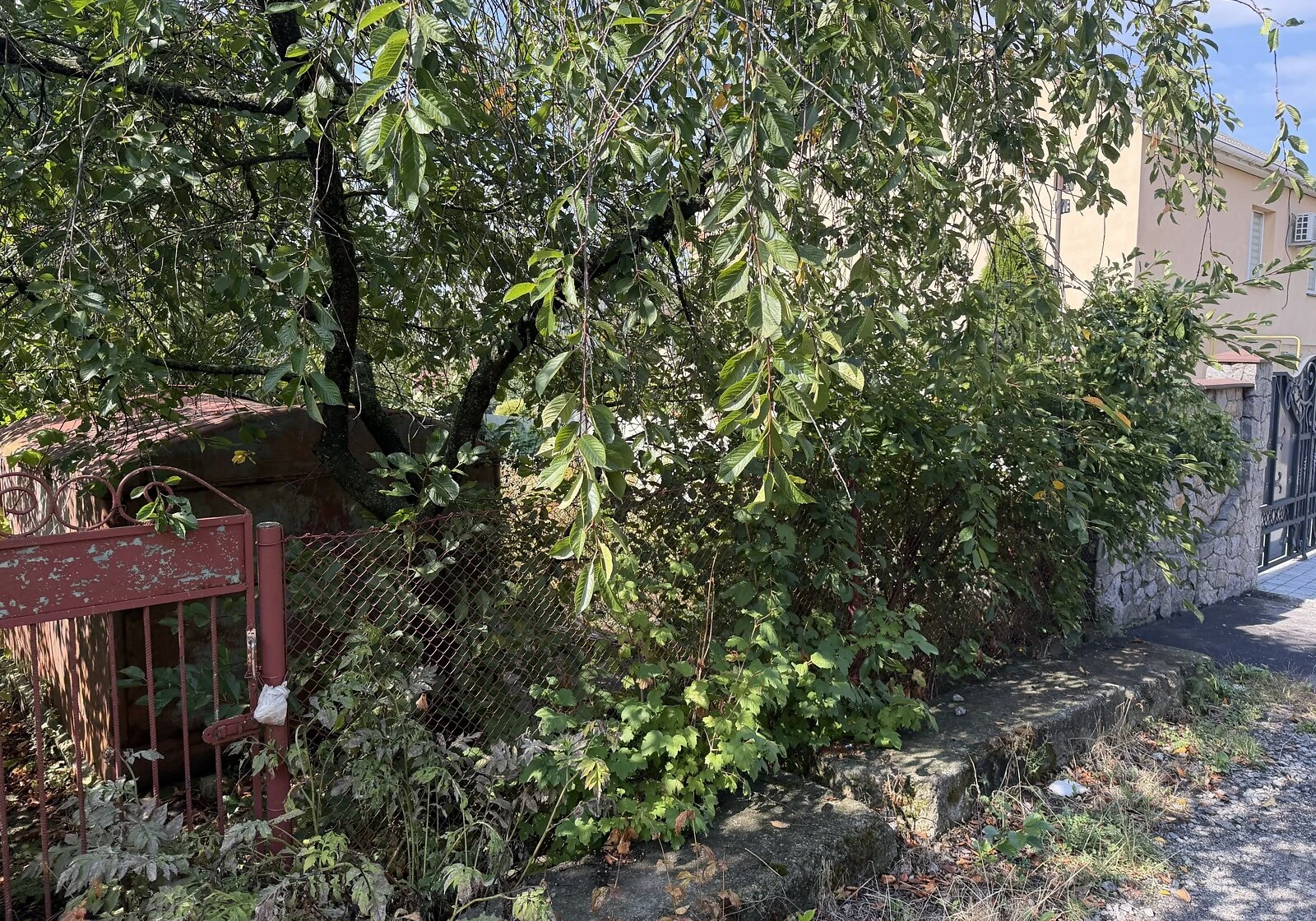Ділянка 4 сотки, Бучми: під житлову забудову, під гараж - фото 4