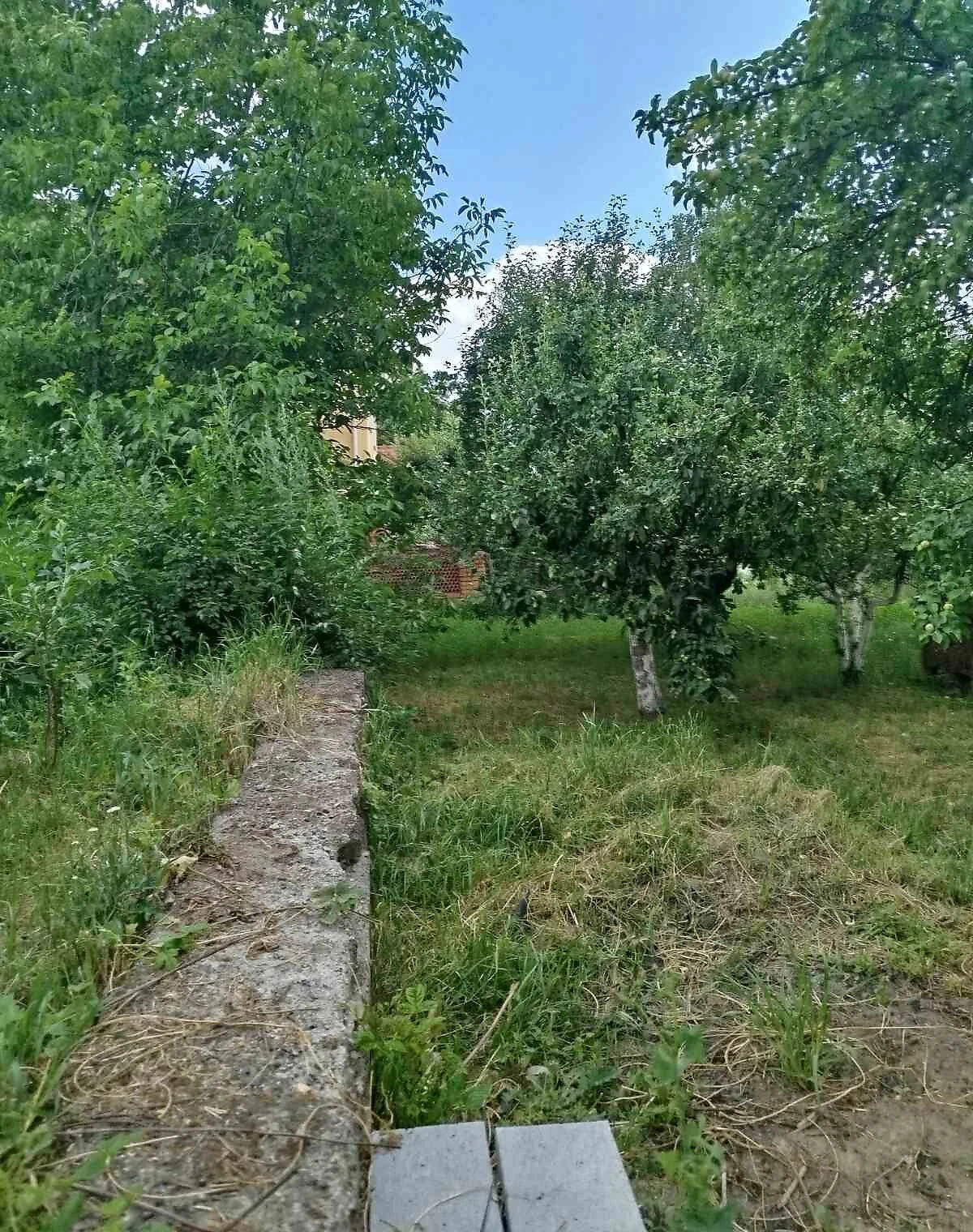 Ділянка 18 соток, Літин: під житлову забудову, фундамент і сад - фото 3