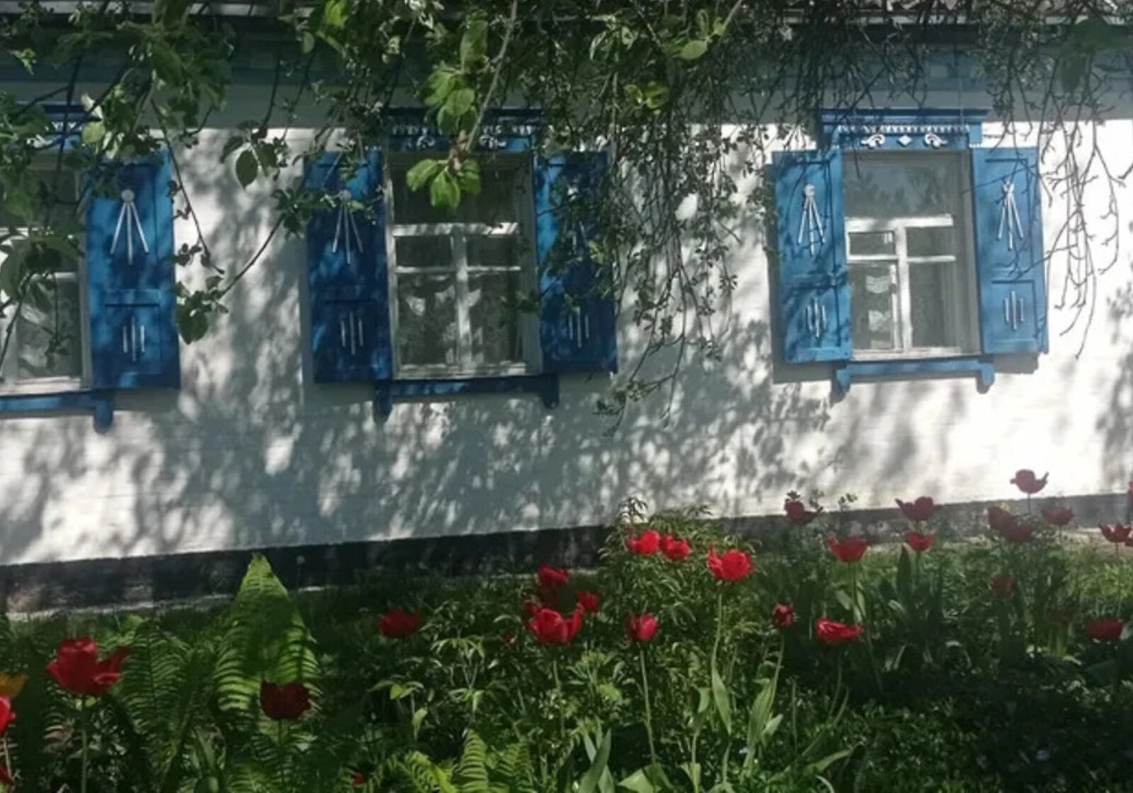 Будинок, Гаркушинці: гараж у дворі, центральний водопровід, газове опалення - фото 1