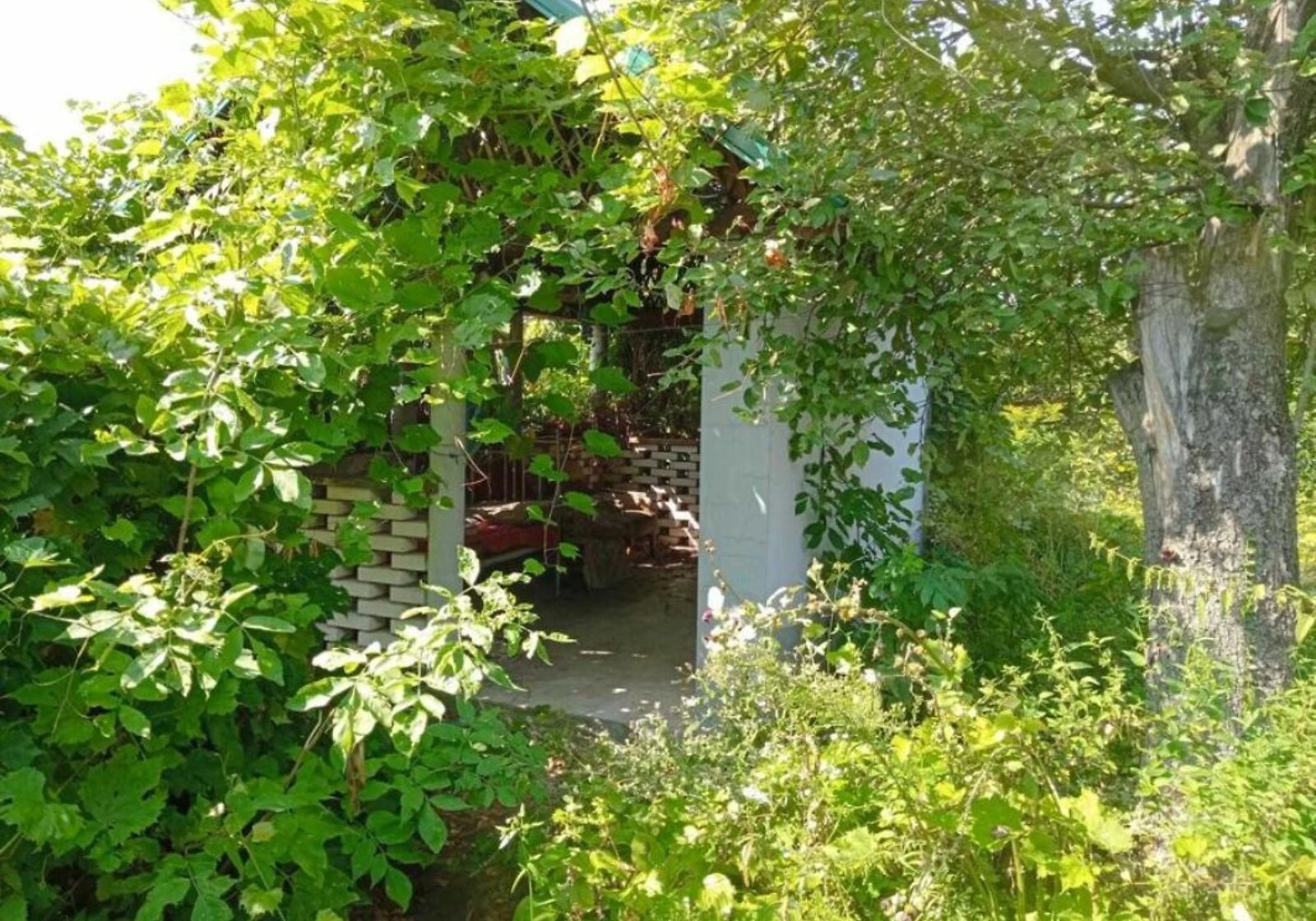 Дом, Коропье: гараж, 46.6 сотки, беседка, фото 5