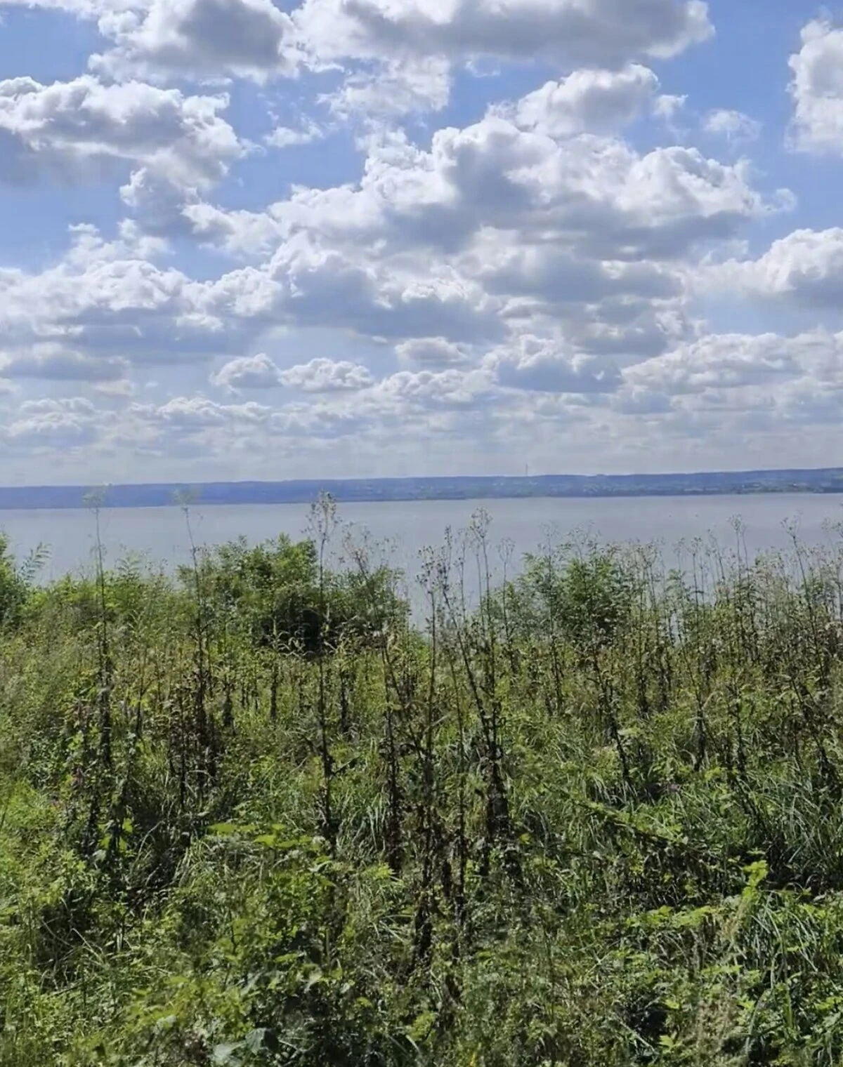 Ділянка 12 соток, Бобриця: чорнозем, індивідуальне садівництво - фото 1