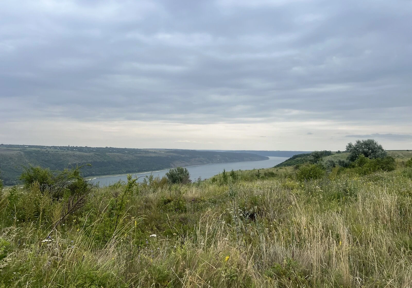 Ділянка 369 соток, Вахнівці: сільськогосподарська, сад, фото 5