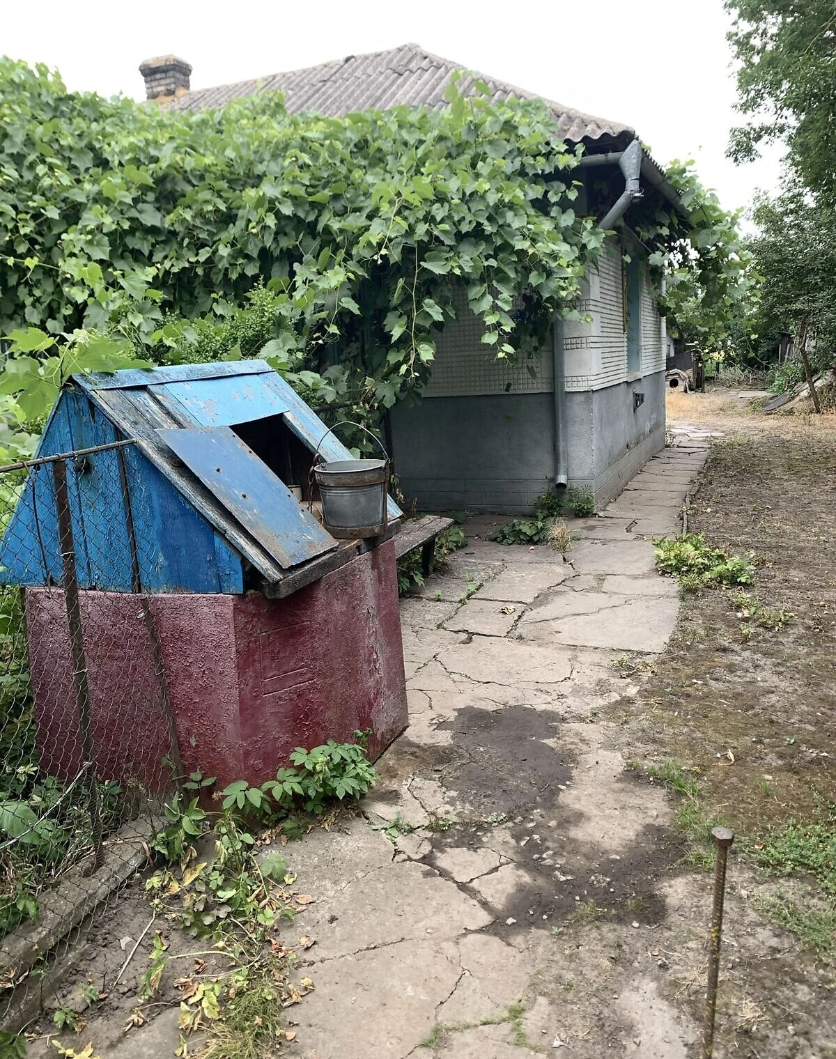 Дача, Ласківці: сад, цегляні стіни