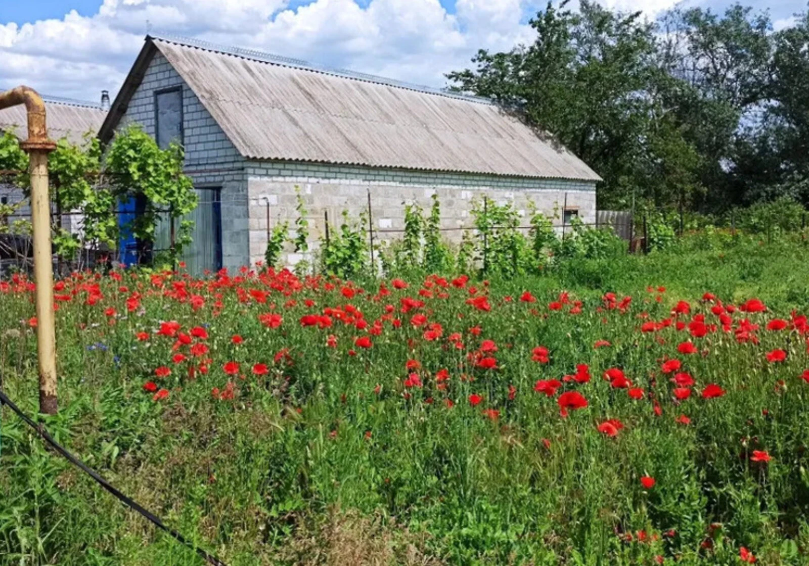 Будинок, Турове: ділянка 15 соток, гараж у дворі, фото 2