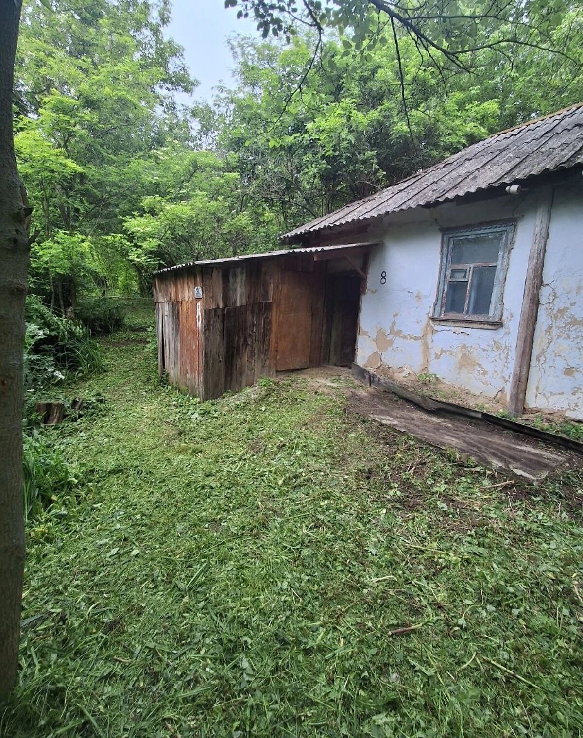 Будинок, Богуслав: 10 соток, глинобитні стіни, шиферний дах