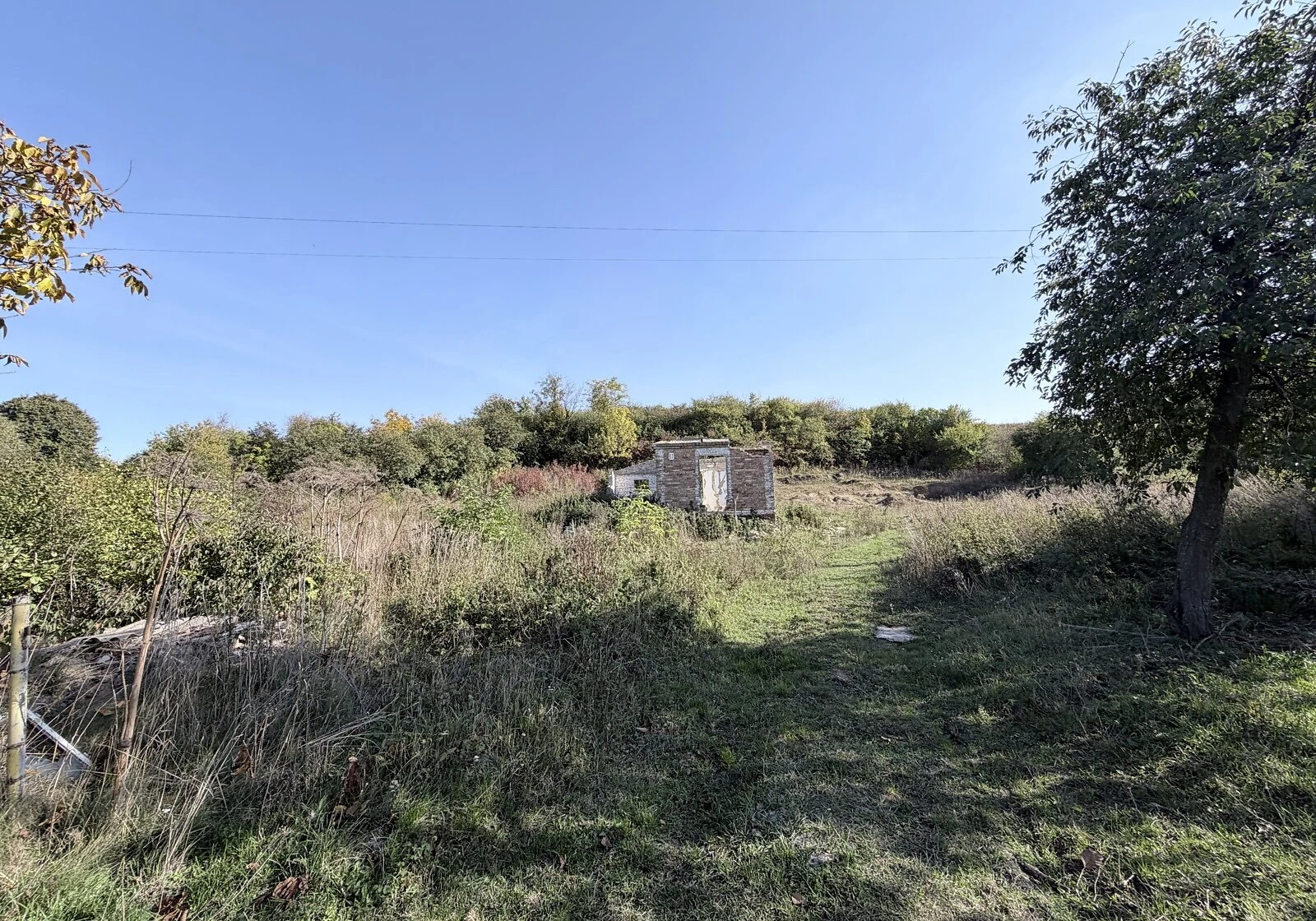 Ділянка 10 соток, Тинне: під житлову забудову, електрика - фото 3