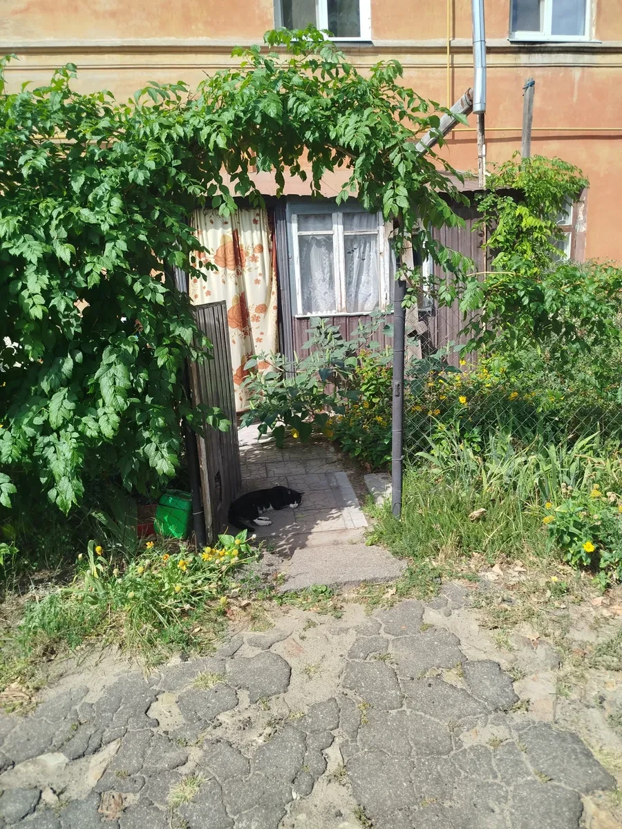 2-кімнатна квартира, Самарський: під бізнес оренди, піч - фото 1