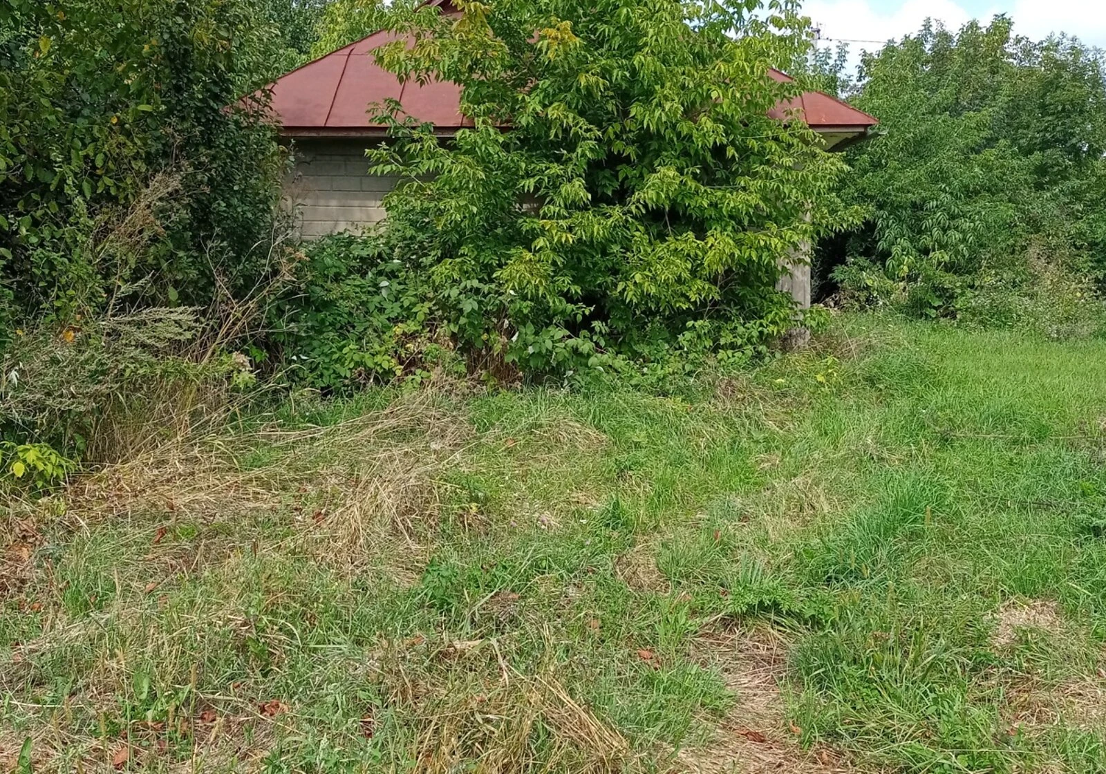 Ділянка 75 соток, Озеро: природне озеро, сад, під гараж, фото 4