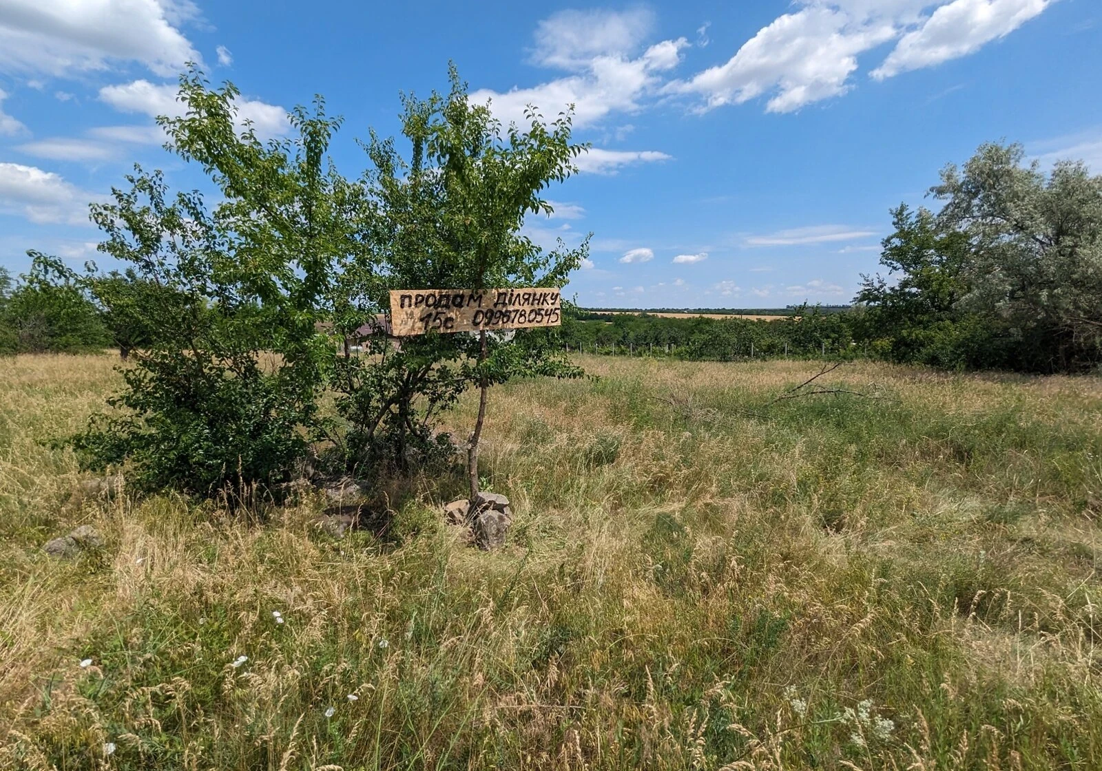 Участок 15 соток, Солнечное: под жилую застройку, чернозём, фото 5