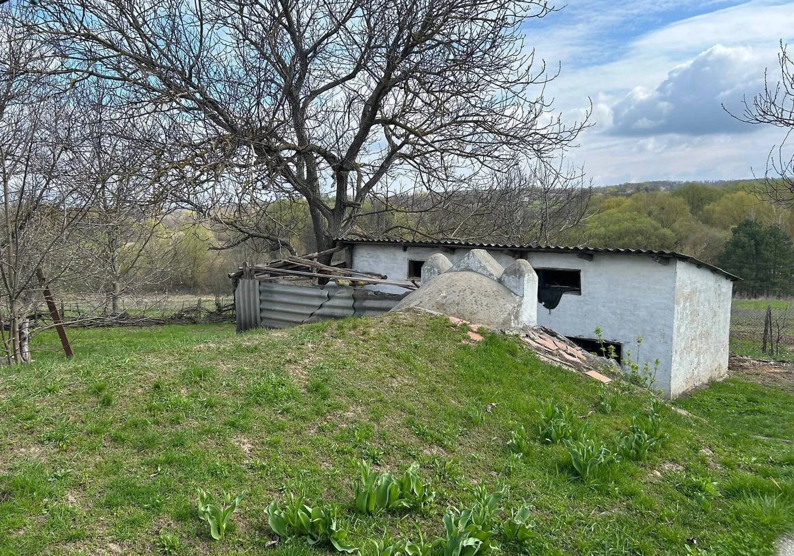 Дача, Квітки: криниця, літня кухня - фото 3