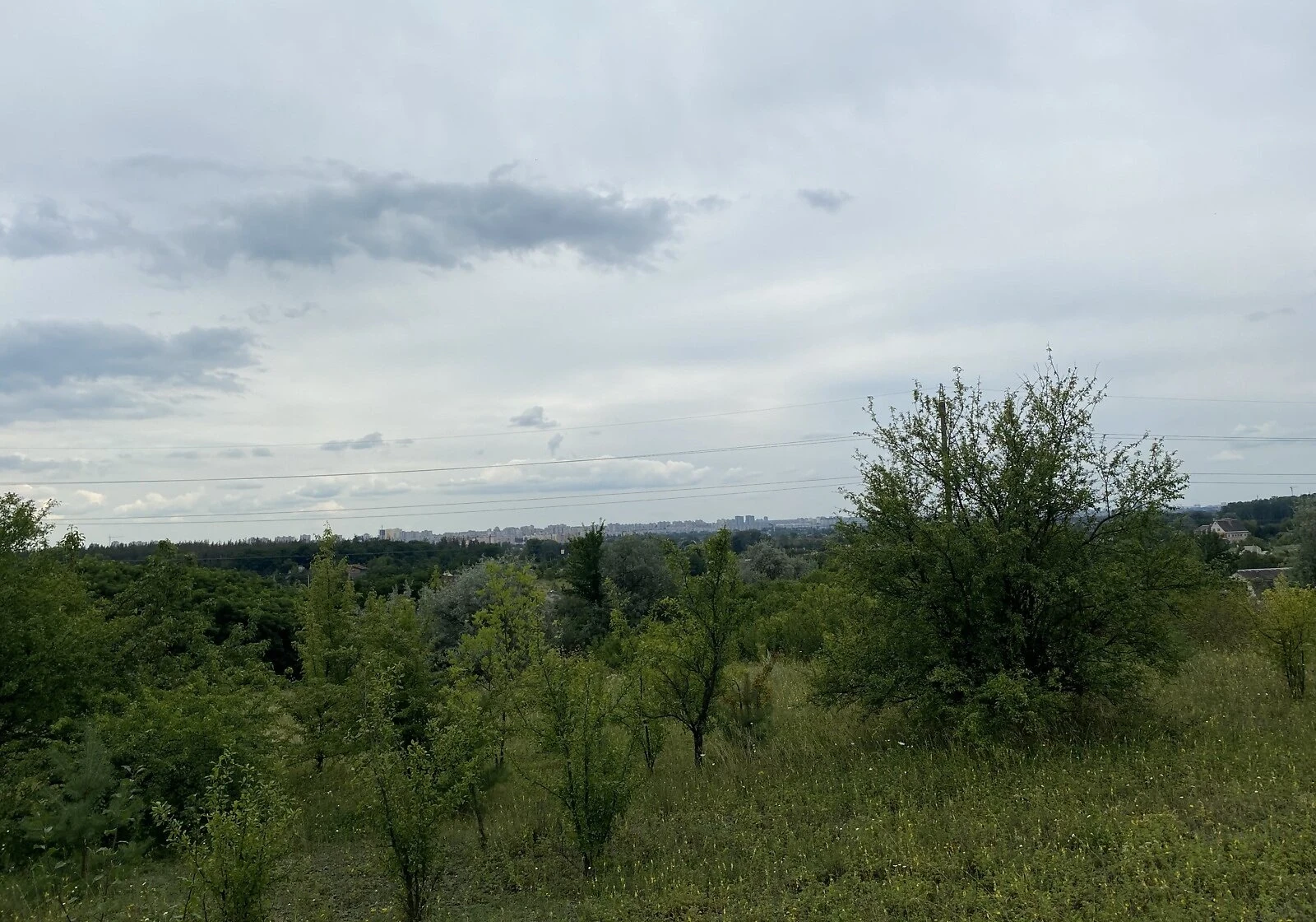 Участок 12 соток, Великая Даниловка: сельскохозяйственное назначение, фото 5
