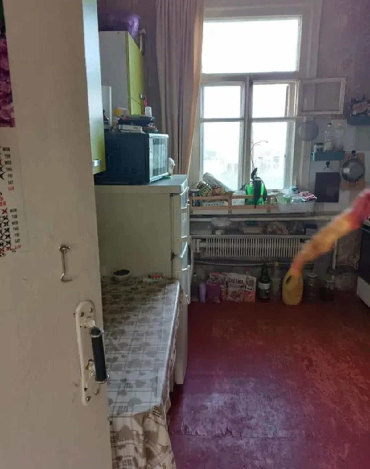 2-комнатная квартира, Ладынка: косметический ремонт, раздельный санузел, фото 5