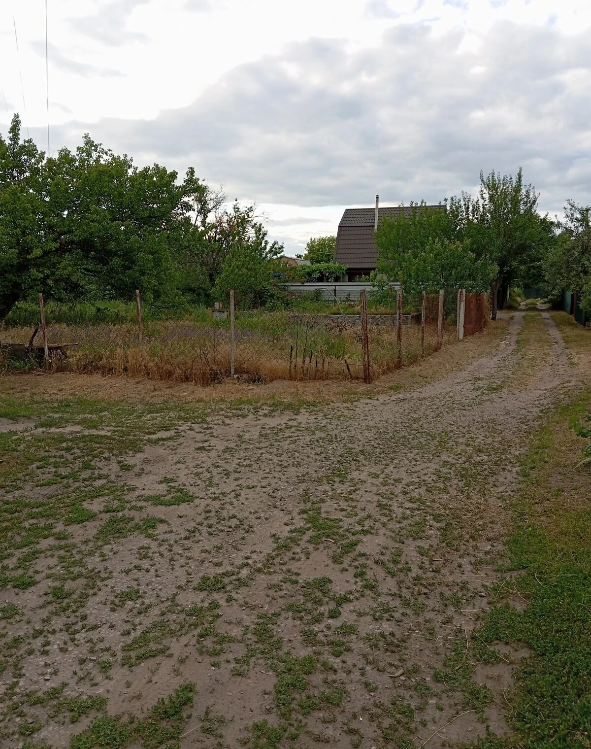 Ділянка 4.98 соток, Вороніна: сад, фундамент, електрика - фото 2
