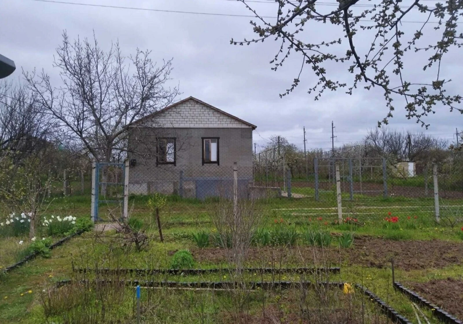Дача, Михайло-Ларино: гараж с подвалом, твердотопливный котел, фото 2
