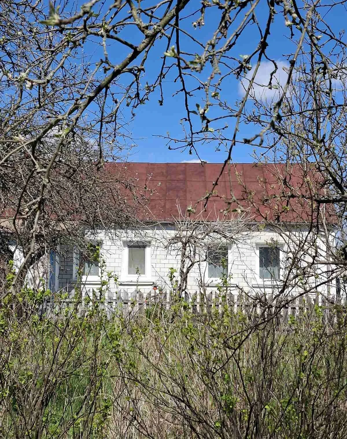 Дача, Буки: гараж, 54.4 сотки, індивідуальне опалення - фото 3