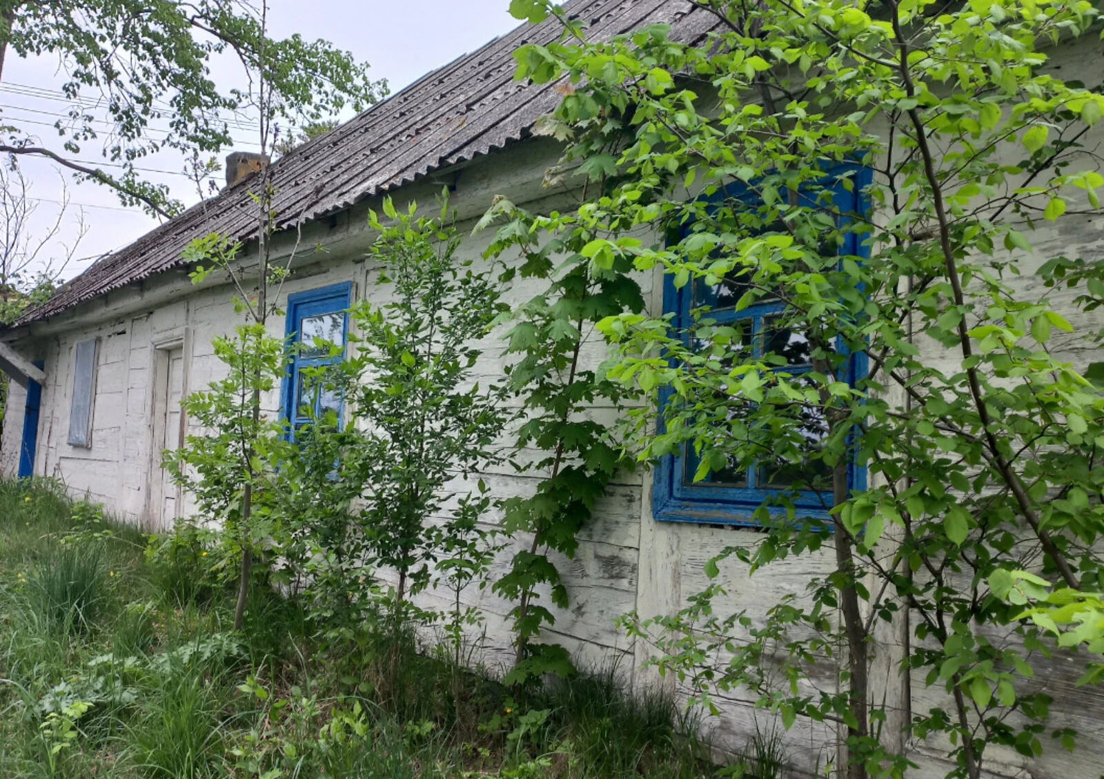 Офис, Кропивня: кабинетная планировка, отдельное здание, торг возможен, фото 4