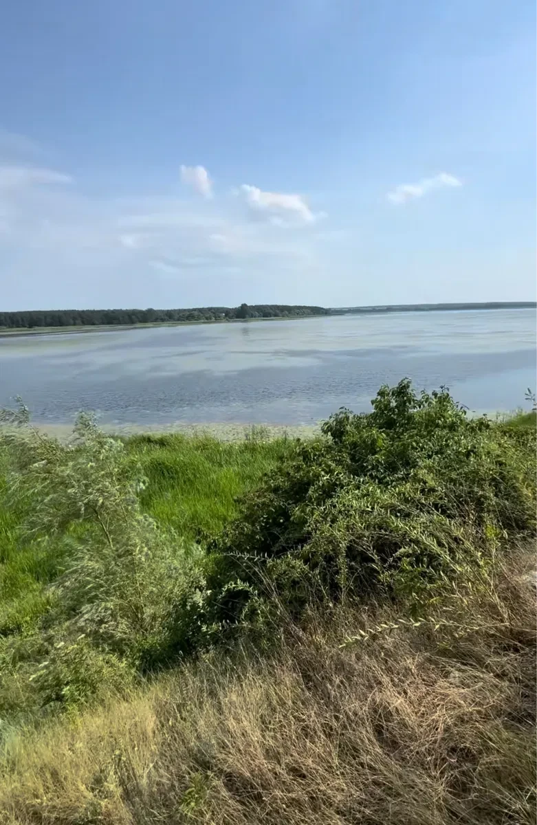 Ділянка 39 соток, Боремель: прямий вихід до водосховища Хрінників, фото 2