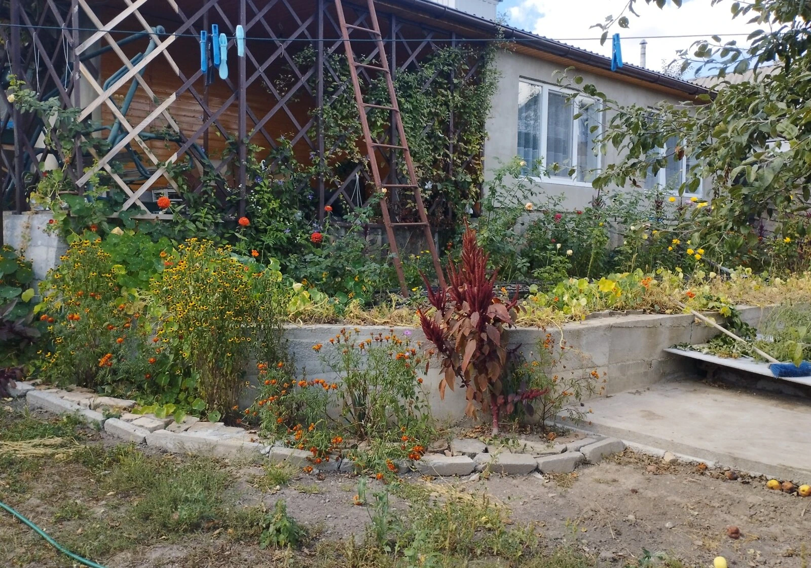 Будинок, Велика Березянка: веранда, 45 соток, торг - фото 4