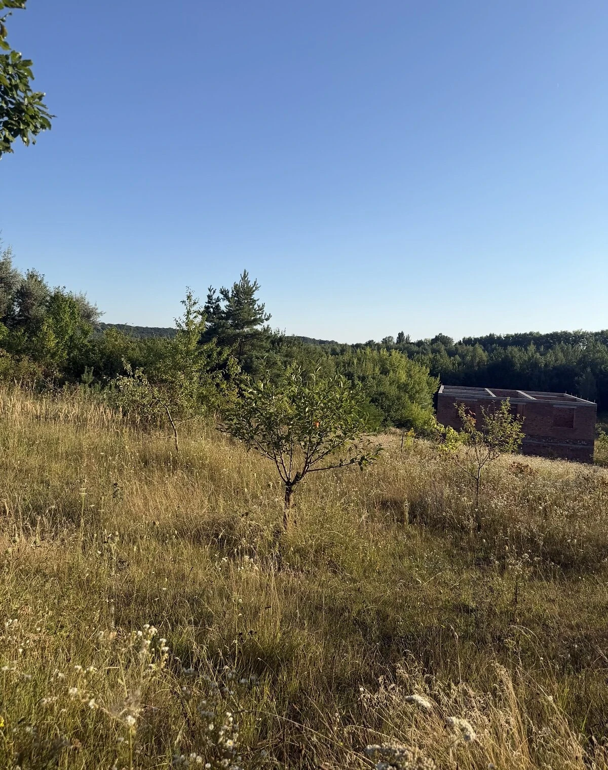 Будинок, Стуфчинці: новобудова, торг можливий - фото 4