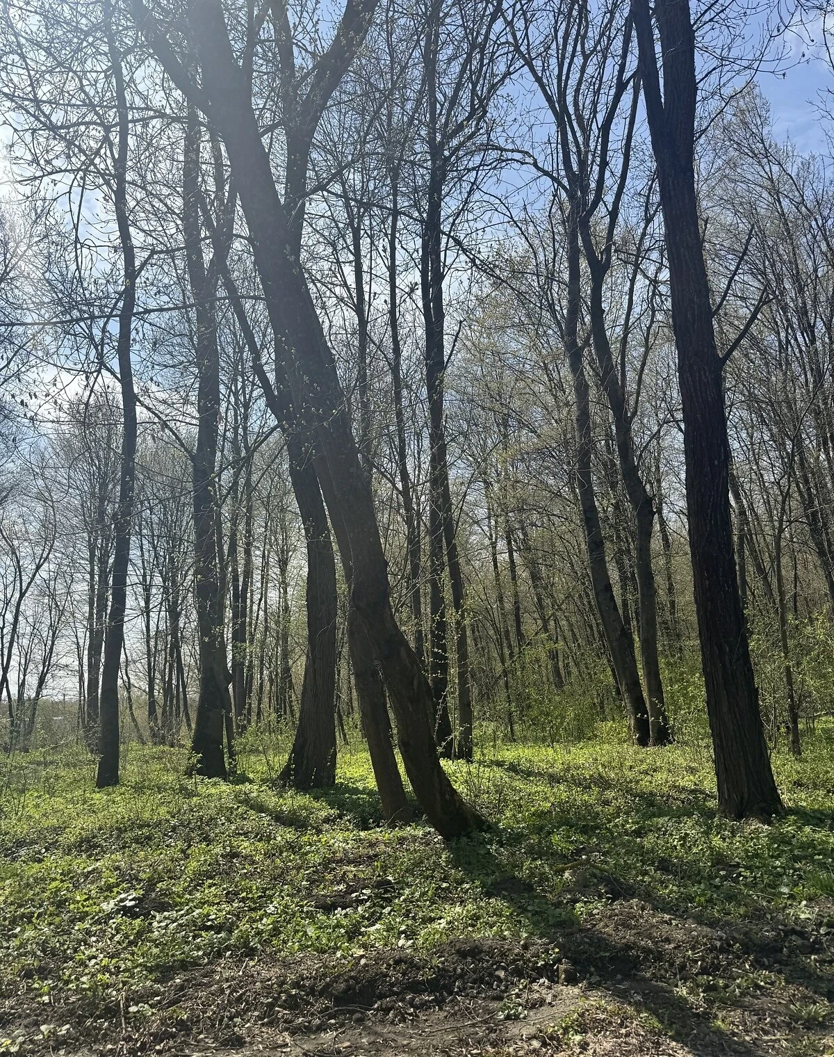 Ділянка 12 соток, Хмельницький: під житлову забудову, штучне озеро - фото 3