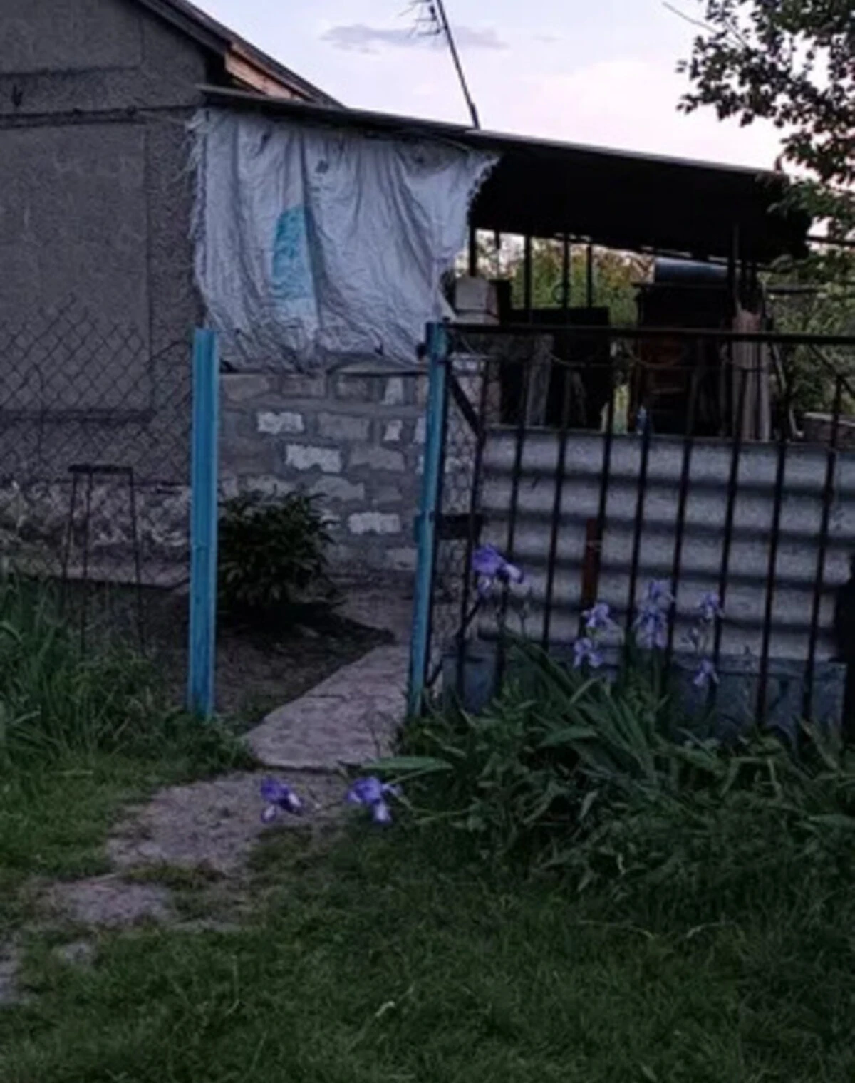 Дача, Новопавловка: участок 12 соток, сад и огород, торг - фото 2