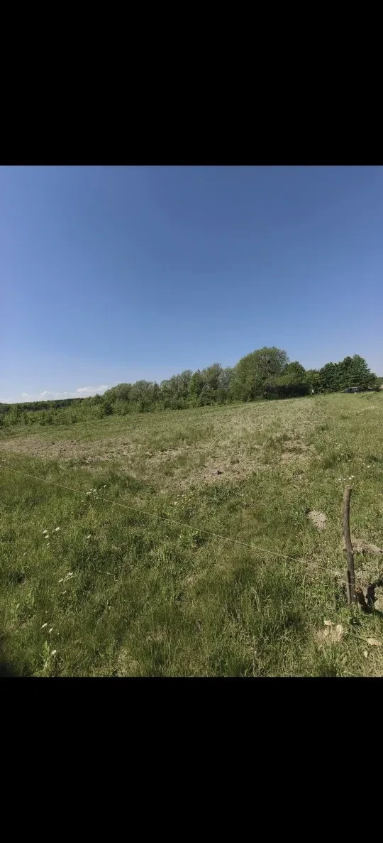 Ділянка 14 соток, Ставчани: під забудову, асфальтована дорога - фото 2