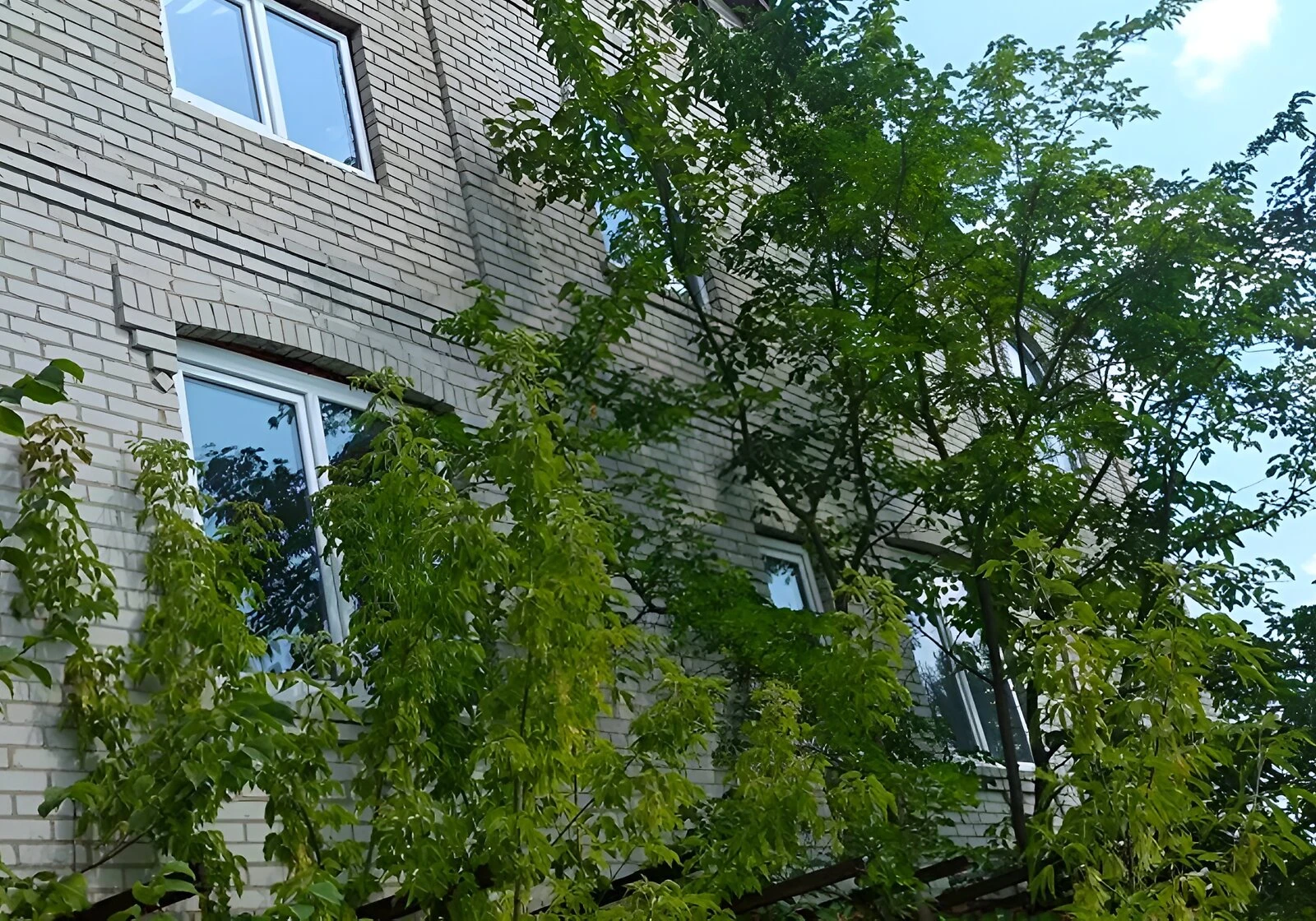 Будинок, Теліжинці: ділянка 25 соток, свердловина, фото 4