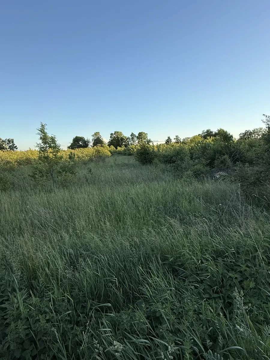 Ділянка 8 соток, Мукша-Китайгородська: рівна, комунікації поруч - фото 1