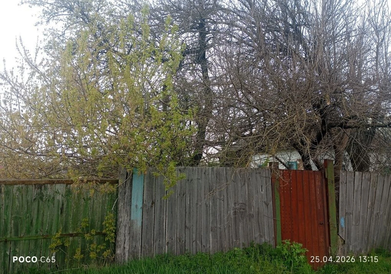 Дача, Підлісне: барбекю, централізоване опалення - фото 2