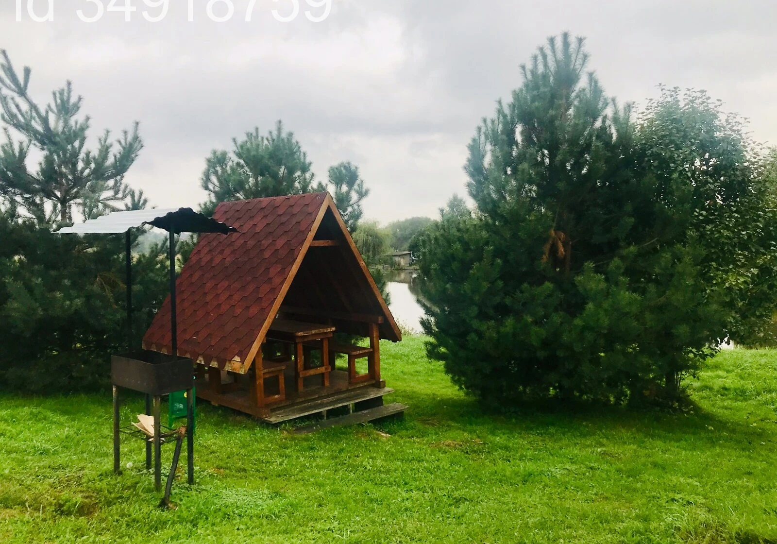 Ділянка 5 га, Болехівці: природне озеро, центральний водопровід, фото 5
