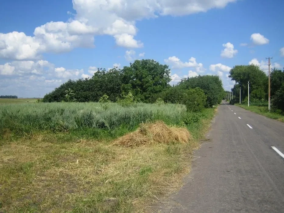 Ділянка 35 соток, Петрівка: 25 під будівництво, газ, фото 1