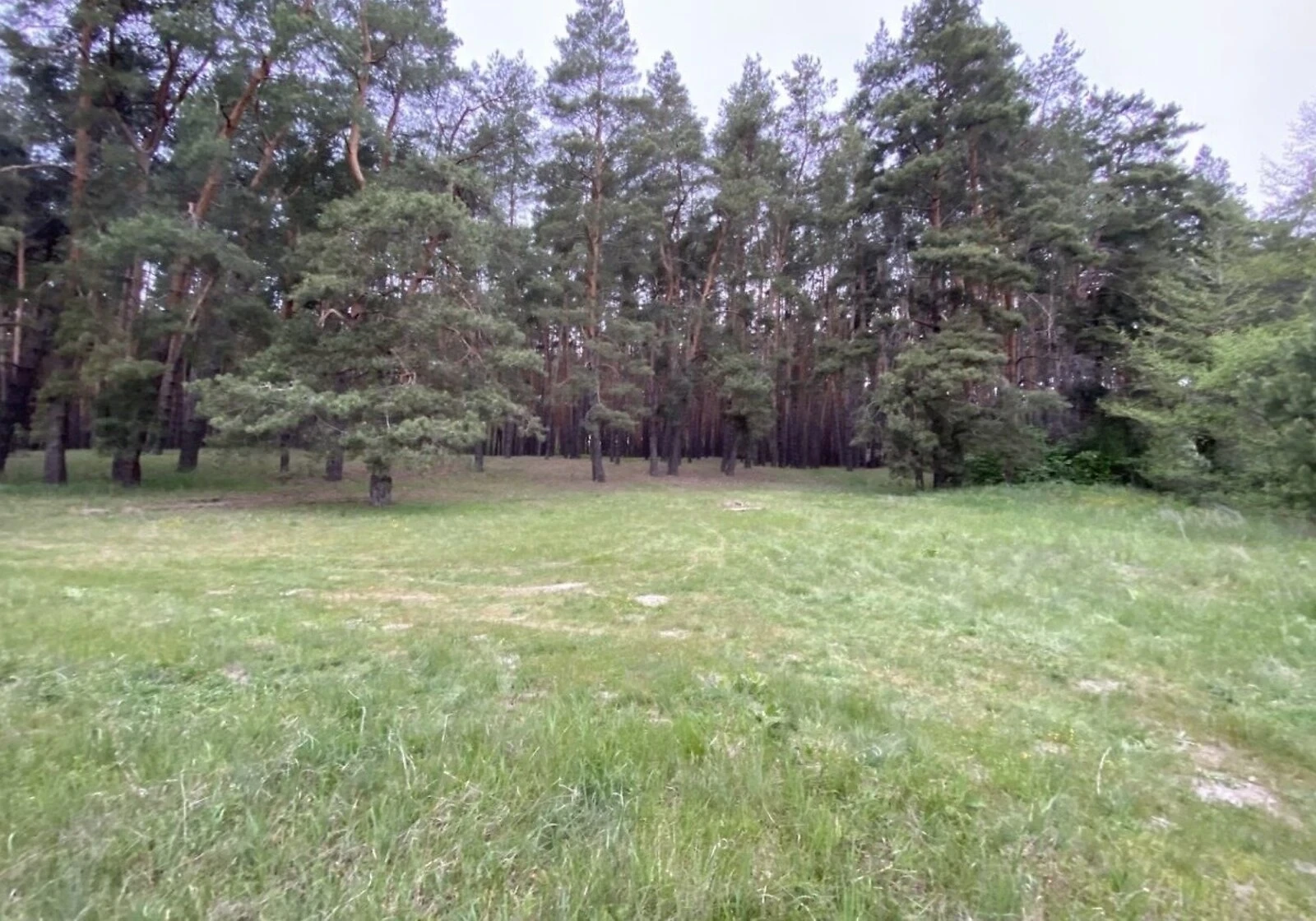 Участок 25 соток, Соколово: сельхозназначение, ровный, фото 2