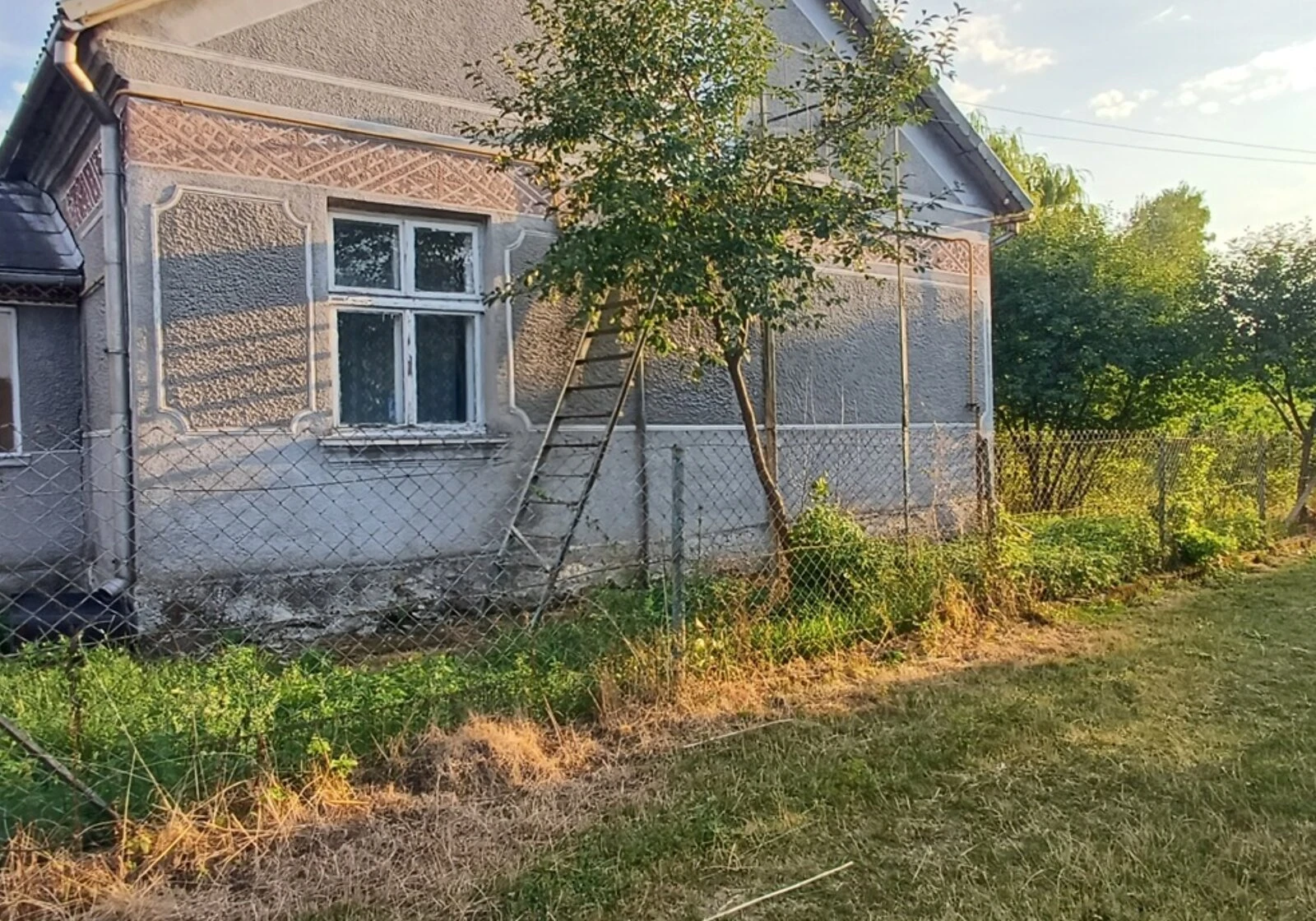 Будинок, Задвір'я: резервне живлення, літня кухня - фото 2