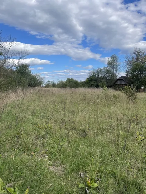 Ділянка 50 соток, Богородчани: біля річки, асфальтована дорога, газ - фото 2