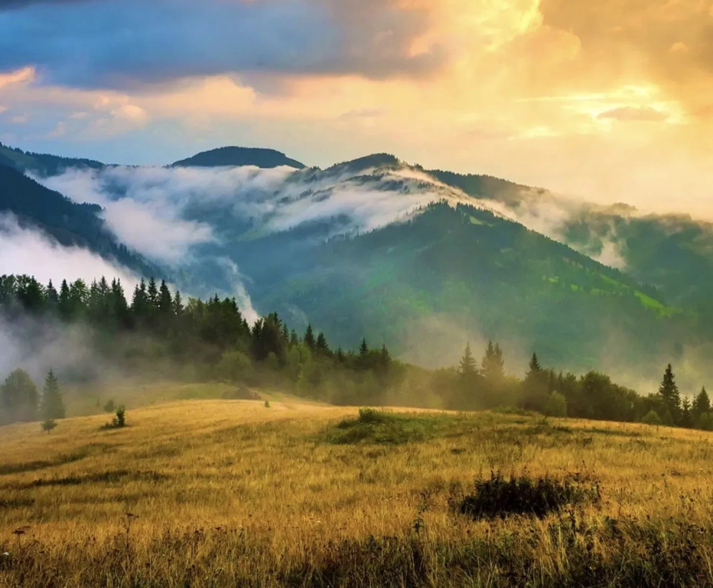 Ділянка 100 соток, Тухля: панорамний вид на гори та ліс, поруч Goro - фото 2