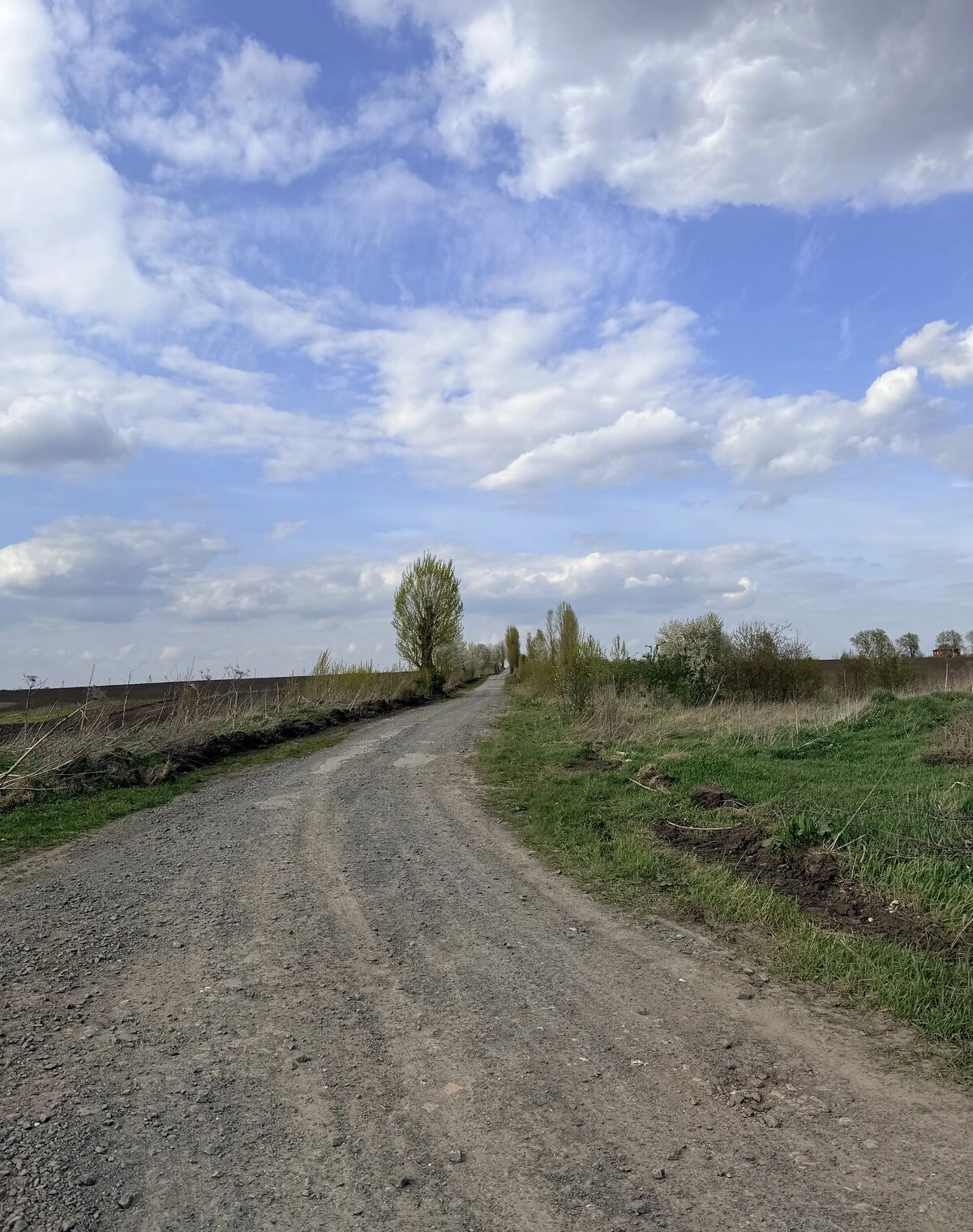 Ділянка, Чорний Острів: під житлову забудову, фото 5