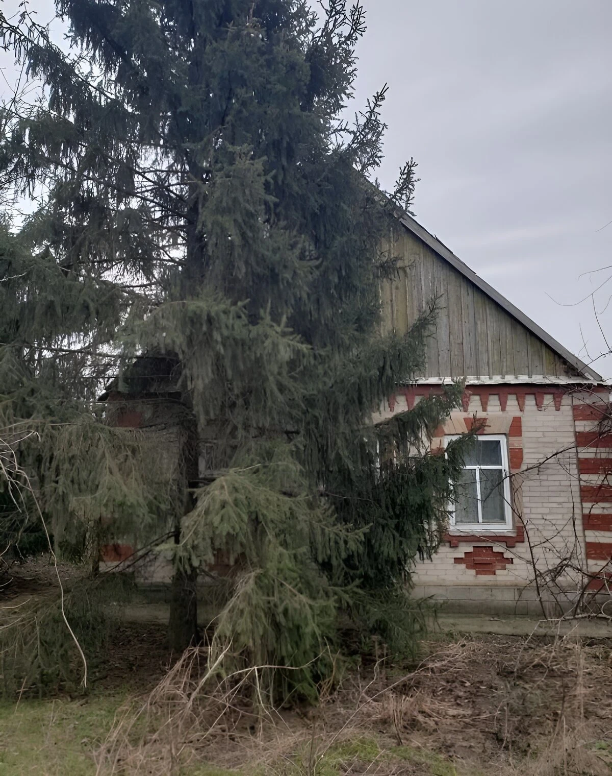 Будинок, Мар’ївка: ділянка 30 соток, гараж із підвалом - фото 2