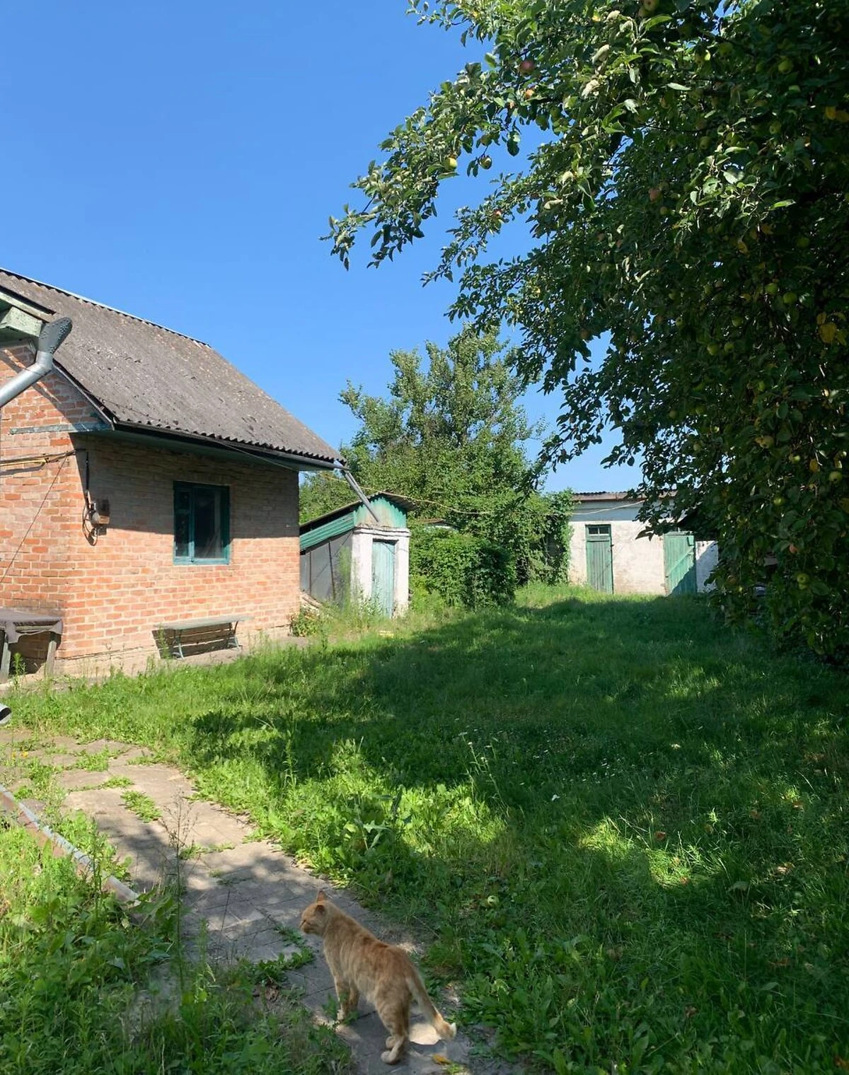 Будинок, Турійськ: 30 соток, бесідка, свердловина, фото 4