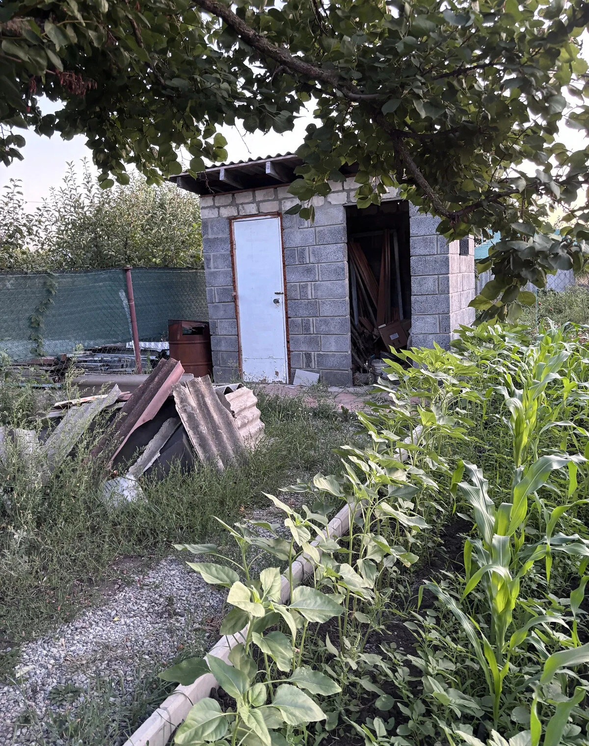 Дача, Павлоград: централізоване опалення, ділянка 4.2 сотки, фото 3