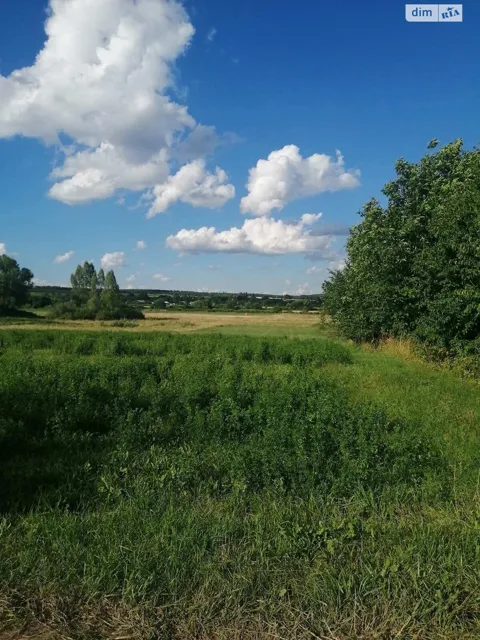Ділянка 25 соток, Літин: під житлову забудову, під гараж - фото 2
