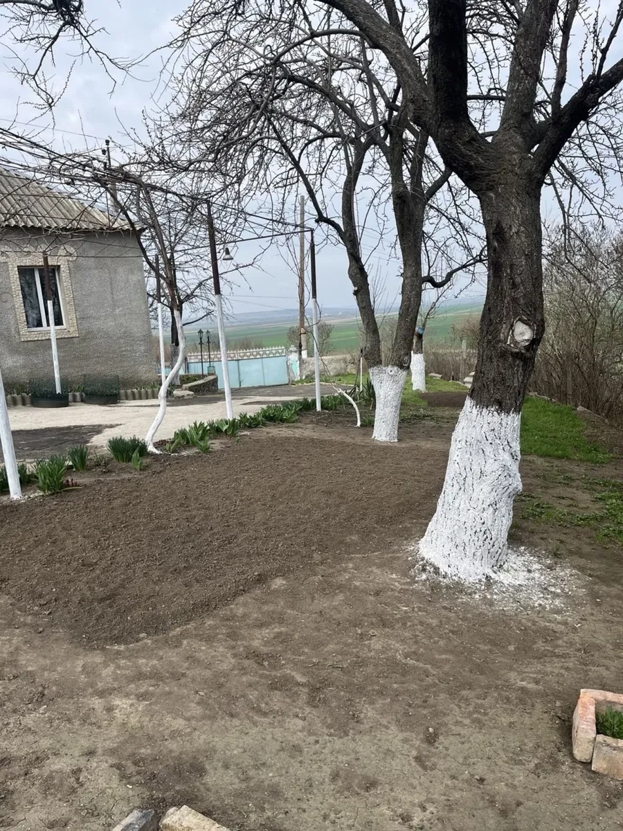 Будинок, Прибужани: гараж, басейн, 15 соток, фото 3