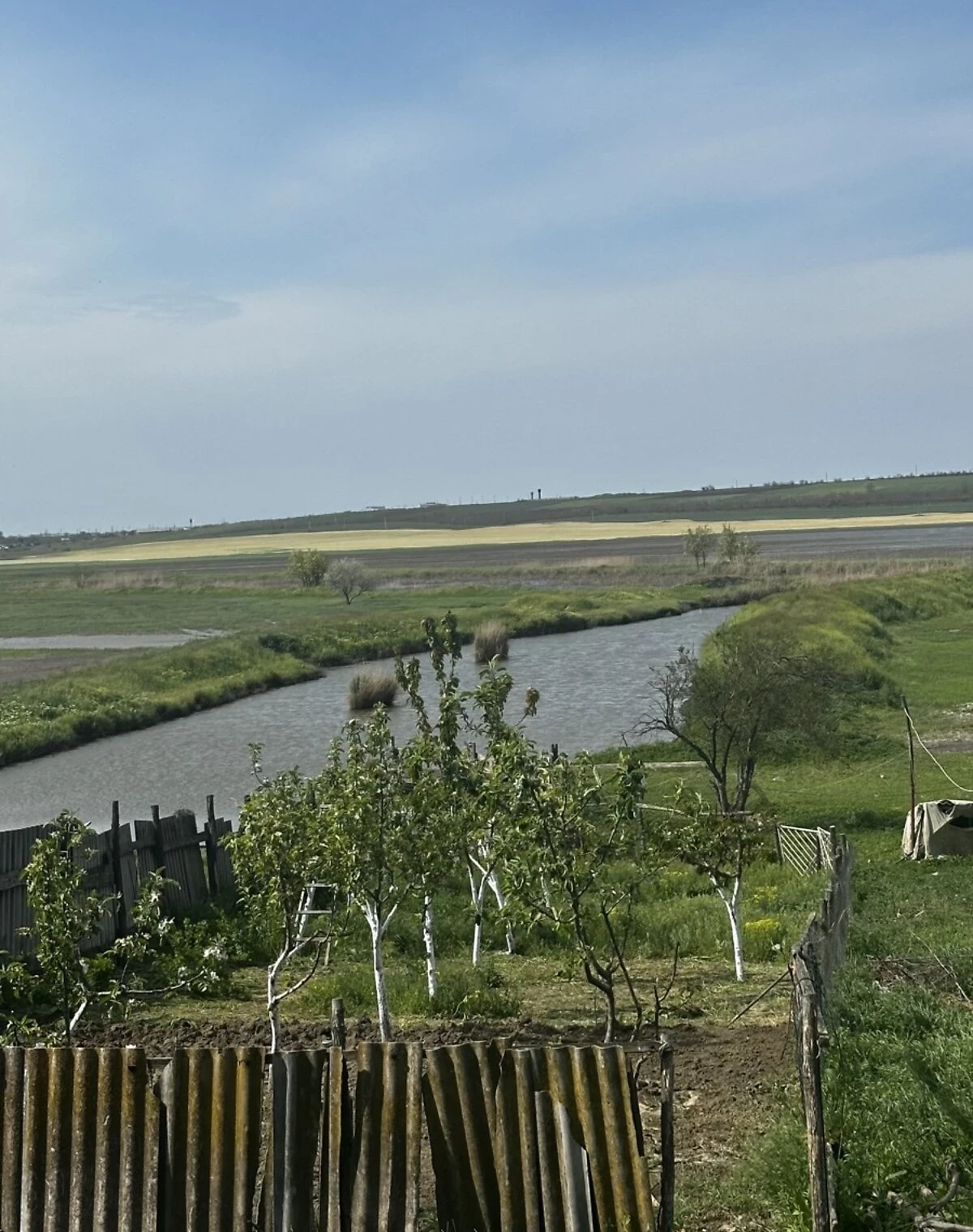 Коммерческое помещение, Доманевка: 753,4 м², 1 этаж, фото 3