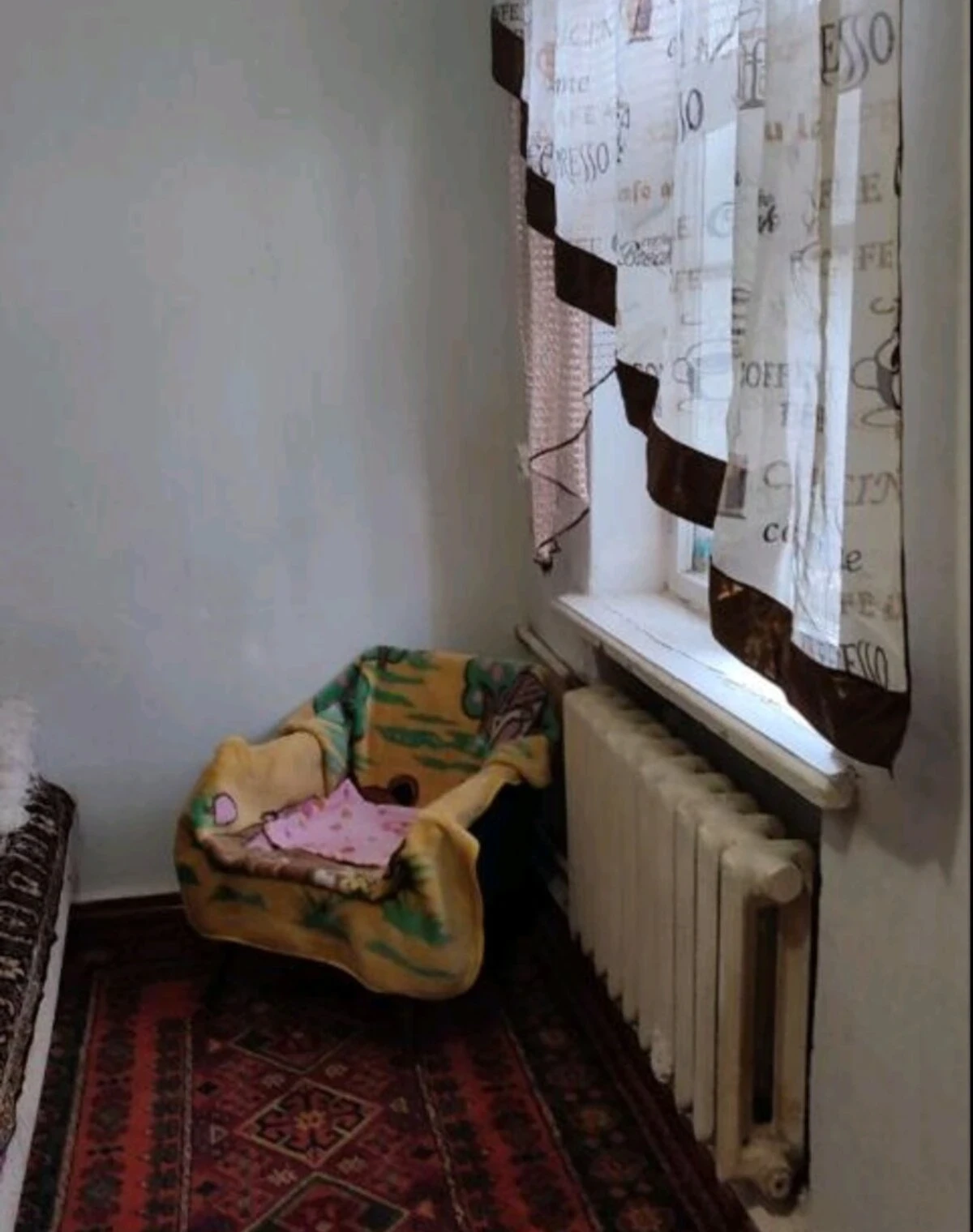 2-кімнатна квартира, Сміла: єВідновлення, укриття в будинку - фото 4